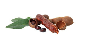 Tamarin | التمر الهندي