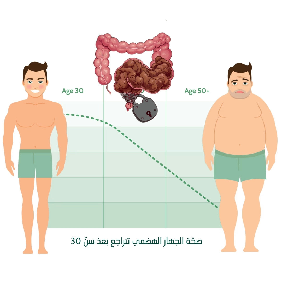 Colon Illustration