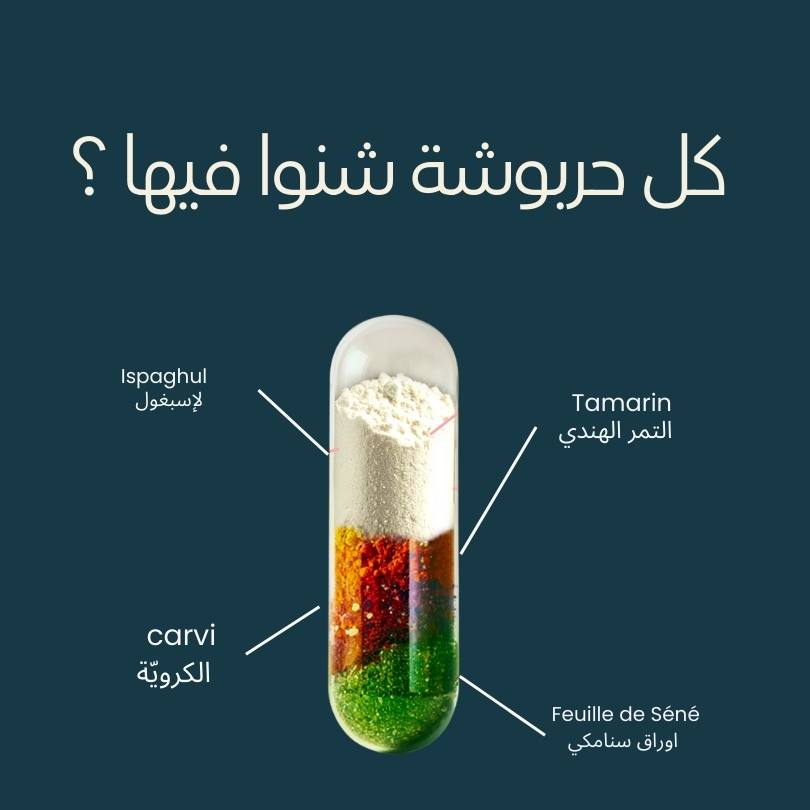 المكونات